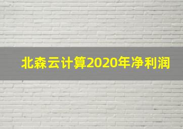 北森云计算2020年净利润