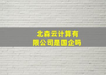 北森云计算有限公司是国企吗