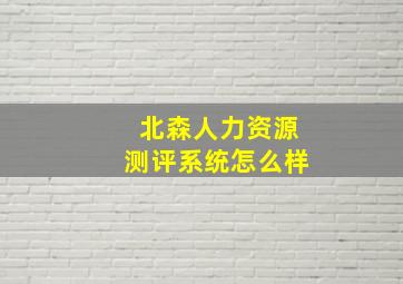 北森人力资源测评系统怎么样