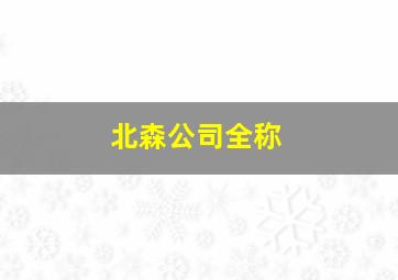 北森公司全称