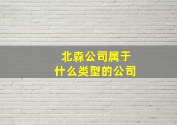 北森公司属于什么类型的公司