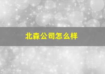 北森公司怎么样