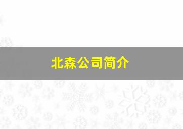 北森公司简介