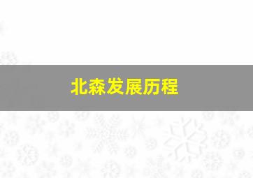 北森发展历程