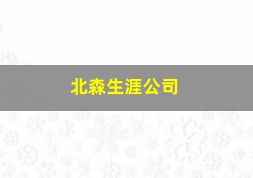 北森生涯公司