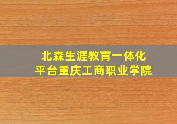 北森生涯教育一体化平台重庆工商职业学院