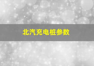 北汽充电桩参数