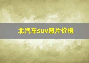 北汽车suv图片价格