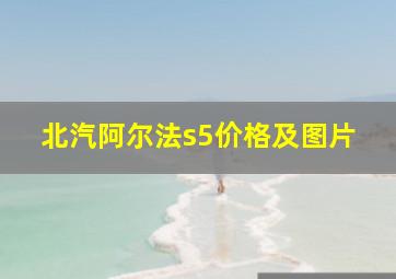 北汽阿尔法s5价格及图片