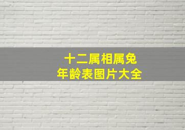 十二属相属兔年龄表图片大全