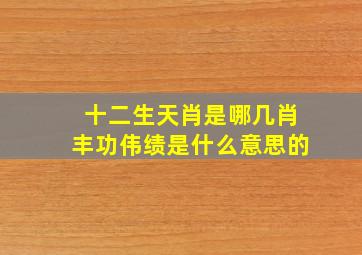 十二生天肖是哪几肖丰功伟绩是什么意思的