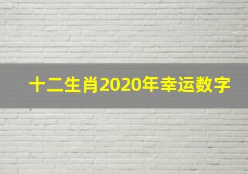 十二生肖2020年幸运数字