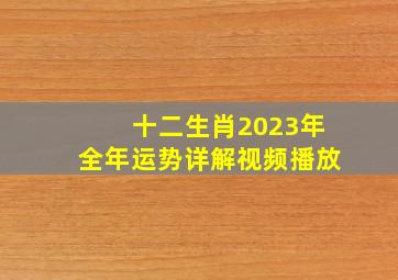 十二生肖2023年全年运势详解视频播放