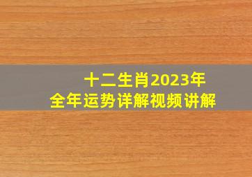 十二生肖2023年全年运势详解视频讲解