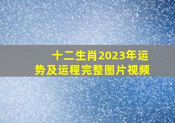 十二生肖2023年运势及运程完整图片视频