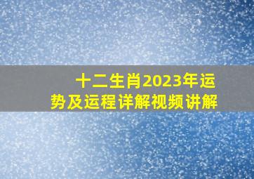 十二生肖2023年运势及运程详解视频讲解