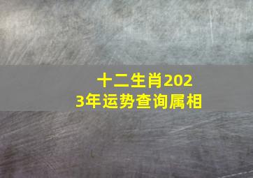 十二生肖2023年运势查询属相