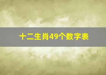 十二生肖49个数字表