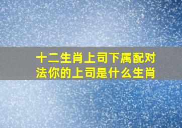 十二生肖上司下属配对法你的上司是什么生肖