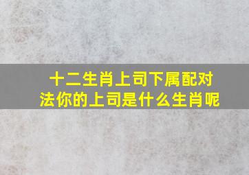 十二生肖上司下属配对法你的上司是什么生肖呢