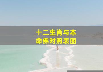 十二生肖与本命佛对照表图