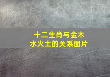 十二生肖与金木水火土的关系图片