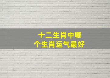 十二生肖中哪个生肖运气最好