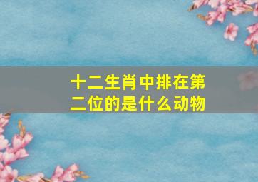 十二生肖中排在第二位的是什么动物