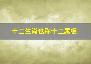 十二生肖也称十二属相