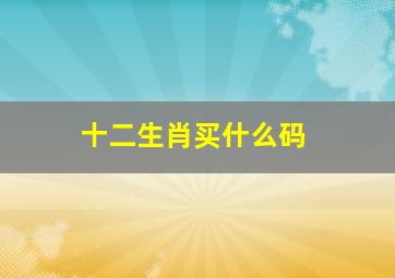 十二生肖买什么码