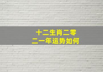 十二生肖二零二一年运势如何