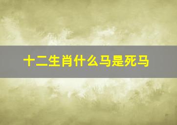 十二生肖什么马是死马