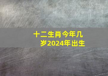 十二生肖今年几岁2024年出生