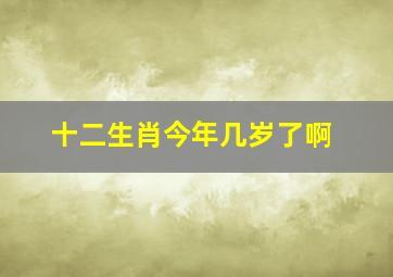 十二生肖今年几岁了啊