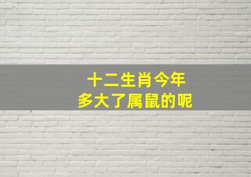 十二生肖今年多大了属鼠的呢