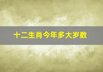 十二生肖今年多大岁数