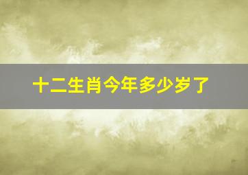 十二生肖今年多少岁了