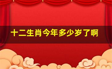 十二生肖今年多少岁了啊