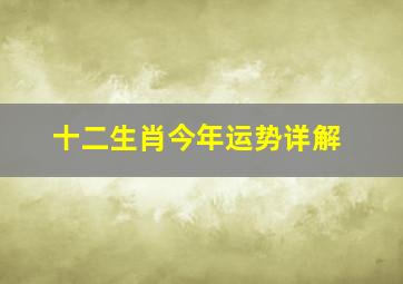 十二生肖今年运势详解