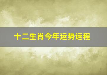 十二生肖今年运势运程