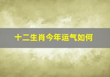 十二生肖今年运气如何