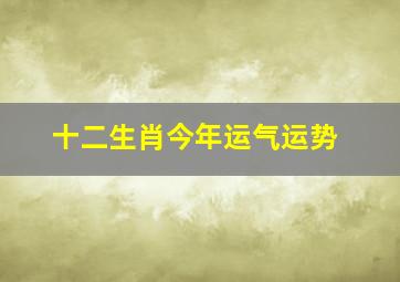 十二生肖今年运气运势