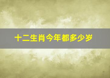 十二生肖今年都多少岁