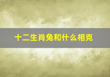 十二生肖兔和什么相克