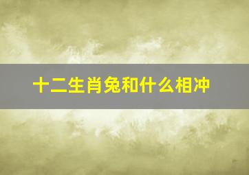 十二生肖兔和什么相冲