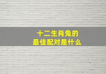 十二生肖兔的最佳配对是什么