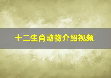 十二生肖动物介绍视频