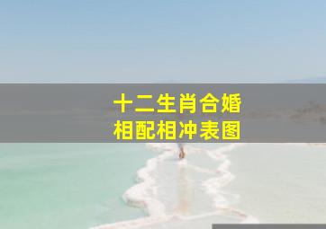 十二生肖合婚相配相冲表图