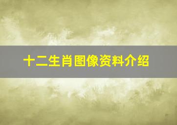 十二生肖图像资料介绍