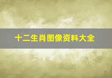 十二生肖图像资料大全